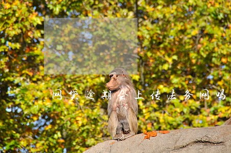 网贷逾期会上传法务网吗