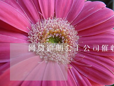 网贷逾期会上公司催收吗 网贷逾期会上公司催收吗