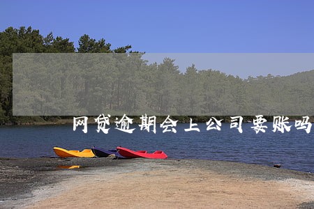 网贷逾期会上公司要账吗 网贷逾期会上公司要账吗