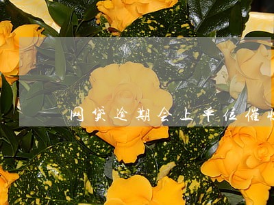 网贷逾期会上单位催收 网贷逾期会上单位催收