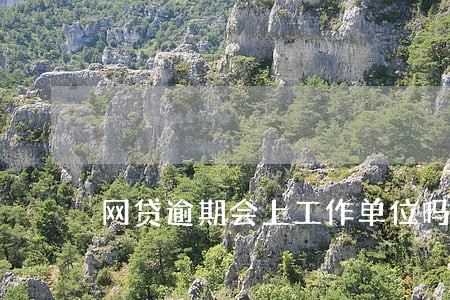 网贷逾期会上工作单位吗 网贷逾期会上工作单位吗