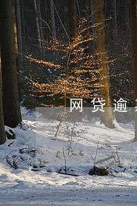 网贷逾期会上门催收吗违法吗 网贷逾期会上门催收吗违法吗