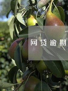 网贷逾期会上门家人 网贷逾期会上门家人