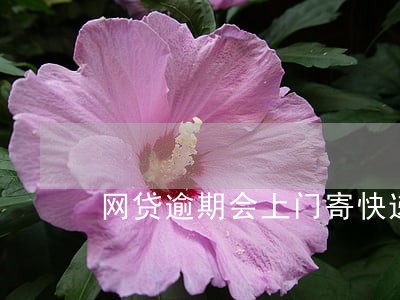 网贷逾期会上门寄快递吗 网贷逾期会上门寄快递吗