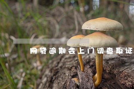 网贷逾期会上门调查取证吗 网贷逾期会上门调查取证吗