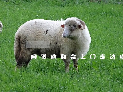 网贷逾期会上门走访拍照吗 网贷逾期会上门走访拍照吗
