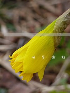 网贷逾期会上门起诉吗 网贷逾期会上门起诉吗