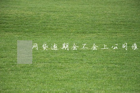 网贷逾期会不会上公司催收 网贷逾期会不会上公司催收