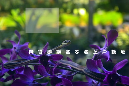 网贷逾期会不会上户籍地 网贷逾期会不会上户籍地