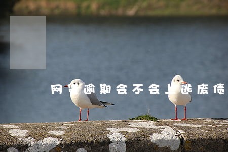 网贷逾期会不会上逃废债名单 网贷逾期会不会上逃废债名单