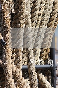 网贷逾期会不会上门调查取证 网贷逾期会不会上门调查取证