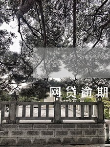 网贷逾期会不会上黑名单 网贷逾期会不会上黑名单