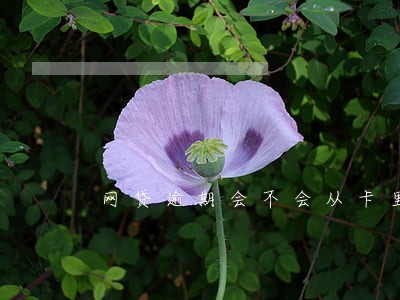 网贷逾期会不会从卡里扣款 网贷逾期会不会从卡里扣款