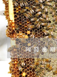 网贷逾期会不会从微信里扣钱 网贷逾期会不会从微信里扣钱