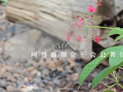 网贷逾期会不会公务员政审 网贷逾期会不会公务员政审