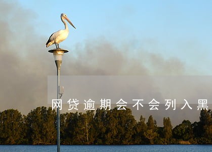 网贷逾期会不会列入黑名单 网贷逾期会不会列入黑名单