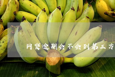 网贷逾期会不会到第三方家里 网贷逾期会不会到第三方家里
