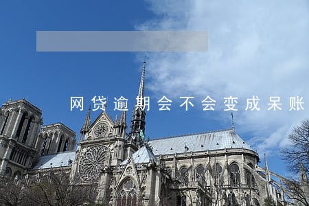 网贷逾期会不会变成呆账 网贷逾期会不会变成呆账