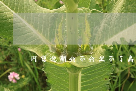 网贷逾期会不会坐不了高铁 网贷逾期会不会坐不了高铁