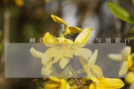 网贷逾期会不会导致银行卡被冻结