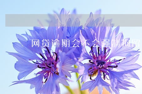 网贷逾期会不会强制拘留 网贷逾期会不会强制拘留