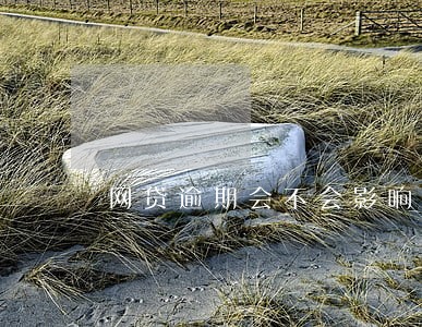 网贷逾期会不会影响买火车票 网贷逾期会不会影响买火车票