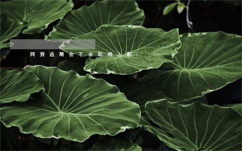 网贷逾期会不会影响入职 网贷逾期会不会影响入职