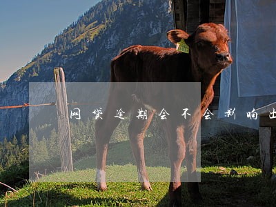 网贷逾期会不会影响出境 网贷逾期会不会影响出境