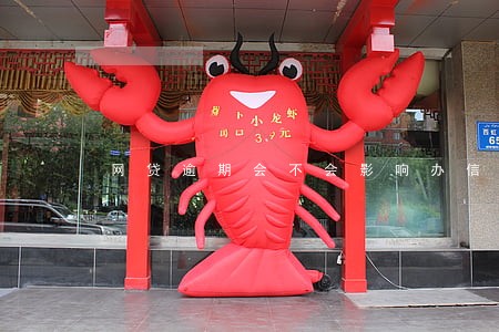 网贷逾期会不会影响办信用卡 网贷逾期会不会影响办信用卡