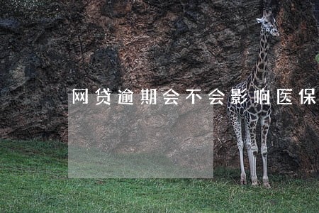 网贷逾期会不会影响医保 网贷逾期会不会影响医保