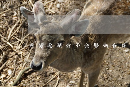 网贷逾期会不会影响合作医疗 网贷逾期会不会影响合作医疗