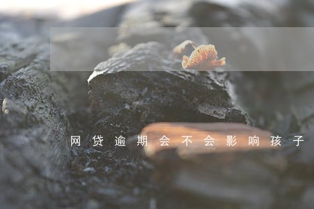网贷逾期会不会影响孩子上学 网贷逾期会不会影响孩子上学