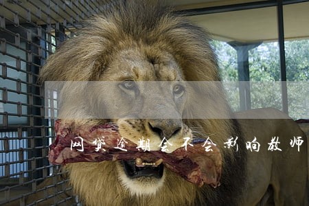 网贷逾期会不会影响教师考编 网贷逾期会不会影响教师考编