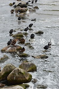 网贷逾期会不会影响考事业单位 网贷逾期会不会影响考事业单位
