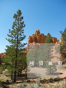 网贷逾期会不会影响考教师编制 网贷逾期会不会影响考教师编制