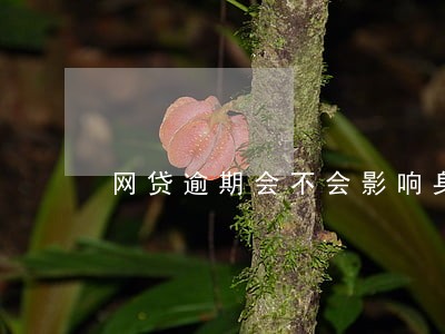 网贷逾期会不会影响身份证使用 网贷逾期会不会影响身份证使用
