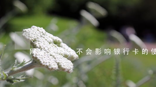 网贷逾期会不会影响银行卡的使用 网贷逾期会不会影响银行卡的使用