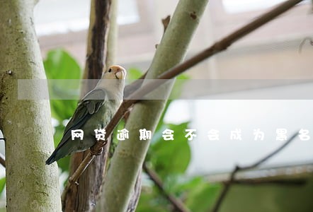 网贷逾期会不会成为黑名单 网贷逾期会不会成为黑名单