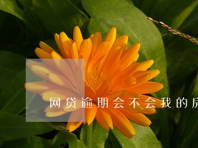 网贷逾期会不会我的房产 网贷逾期会不会我的房产