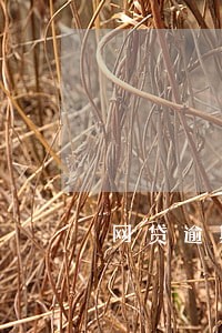 网贷逾期会不会打村委电话 网贷逾期会不会打村委电话