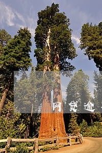 网贷逾期会不会打电话给公司 网贷逾期会不会打电话给公司