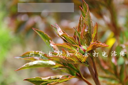 网贷逾期会不会打电话给联系人 网贷逾期会不会打电话给联系人