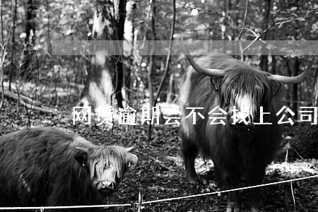 网贷逾期会不会找上公司 网贷逾期会不会找上公司