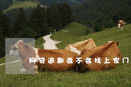 网贷逾期会不会找上家门 网贷逾期会不会找上家门