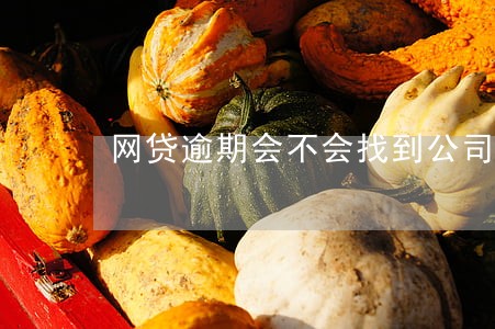 网贷逾期会不会找到公司电话 网贷逾期会不会找到公司电话