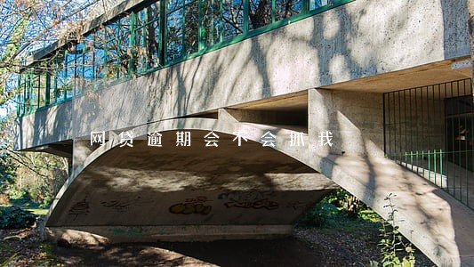 网贷逾期会不会抓我