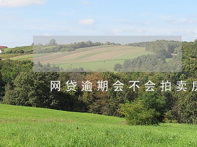 网贷逾期会不会拍卖房产 网贷逾期会不会拍卖房产