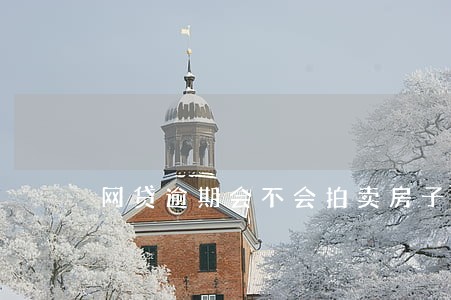 网贷逾期会不会拍卖房子 网贷逾期会不会拍卖房子