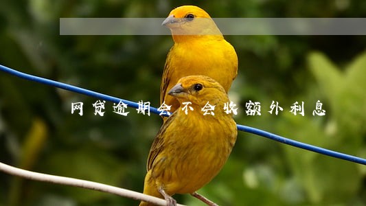 网贷逾期会不会收额外利息 网贷逾期会不会收额外利息