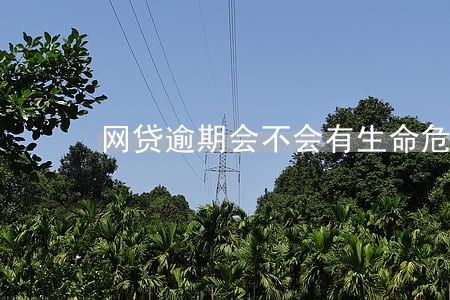 网贷逾期会不会有生命危险 网贷逾期会不会有生命危险